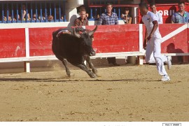 07_garlan-katif