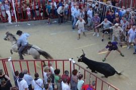 09_bandido