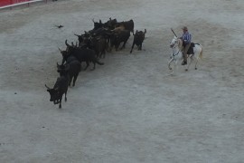 10_bandido