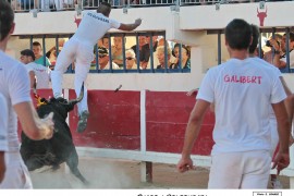 03_chico-belgourari