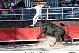04_cesarion(blat)-fougere_2