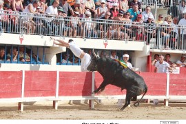 04_sombrero(vellas)_rey_2