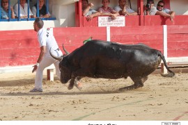 05_athos(lestermes)_rey_2