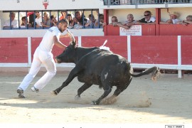 05_bayle-belgourari (3)