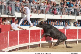 07_bayle-allouani_1