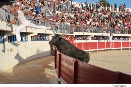 07_coti chiavari-belgourari_2