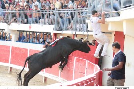 07_felix_miralles_1