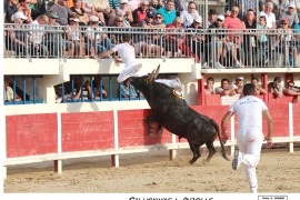 09_gallicianais-auzolle_1