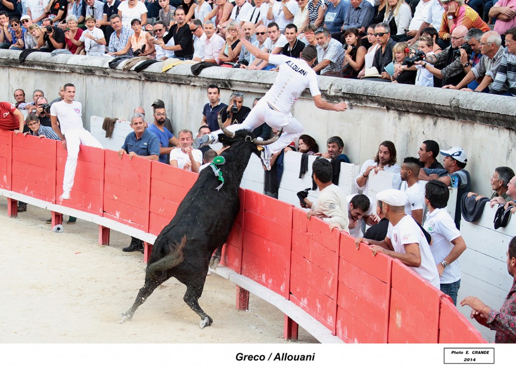 00_greco-allouani_03