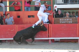 03_coquet-fouad_2