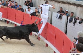 03_escamillo-allouani_2