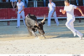 05_cassan-benafitou ilias_5