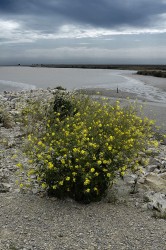 06_art-image