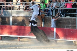 06_bayle-belgourari (2)