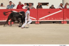 07_garlan-martin_1