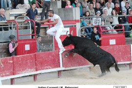 08_indian-belgourari_2