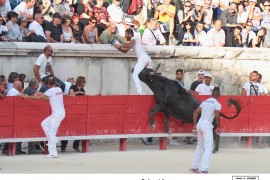 09_greco-ayme_5