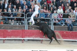 09_marengo-belgourari