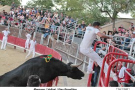 10_marengo-benafitou_3