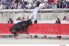 11_ratis-aliaga