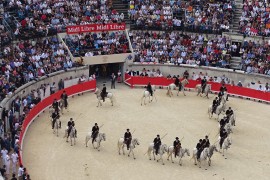 Nîmes, le 19 octobre 2014