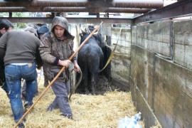 06_bistournage
