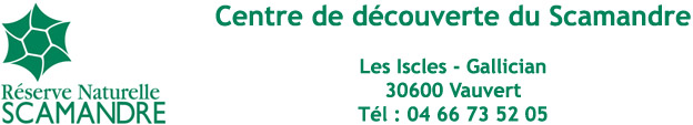 Logo Scamandre_12