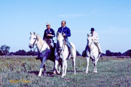 Armand, Jacques et Fanfonne au Cailar en 1983 Photo © Robert Faure