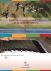 02_guide des canards