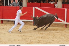 07_quovadis_2aliaga