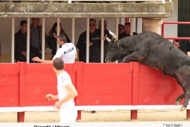 08_quovadis_3allouani