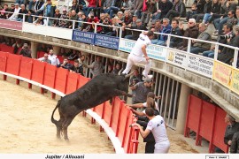 09_jupiter_01allouani