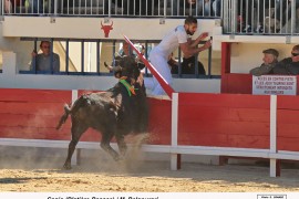 03_canio(blat)-belgourari_2_1