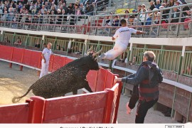 05_camerone-chekade_1_1