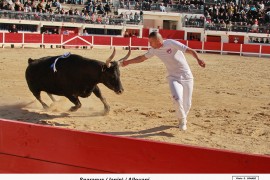 05_sparagus-allouani_2