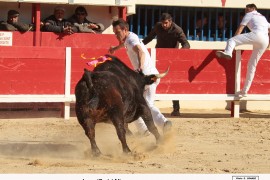 06_laos-aliaga_1