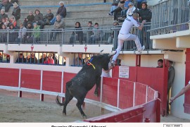 09_pourpier-allouani_1