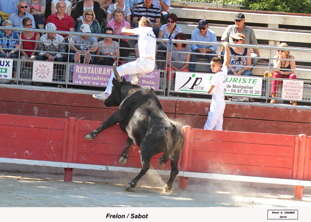 00_frelon(blat)_sabot_1