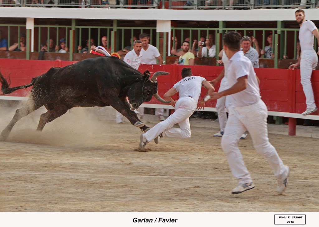 00_garlan(beaumelles)_favier_10