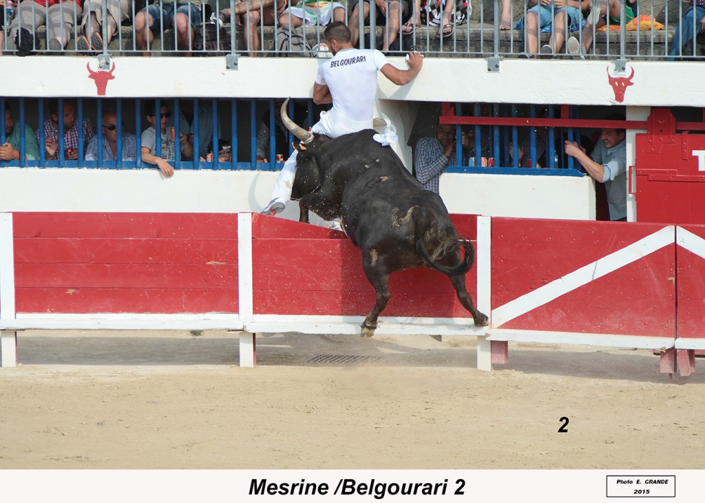 00_mesrine(vinueza)_belgourari_2