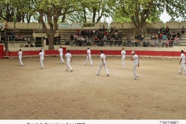 01_capelado_1