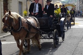 02_concours_abrivado