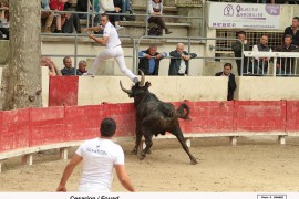 03_cesarion(blat)-fouad_1