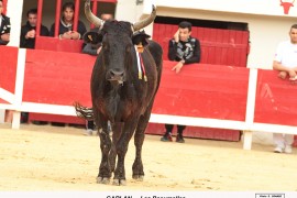 04_garlan_3