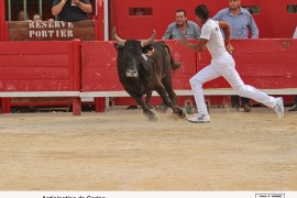 08_garlan(beaumelles)_katif_2_1