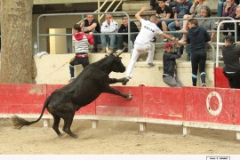 08_quintiliens-soler_1