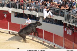 09_chambao(bon)_four