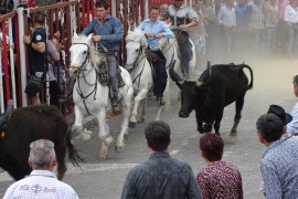 10_concours_abrivado