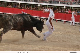 10_garlan(beaumelles)_katif_10