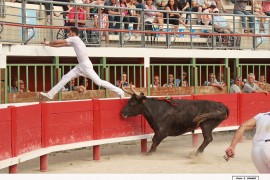 12_sylverado(nicollin)_auzolle_2_1